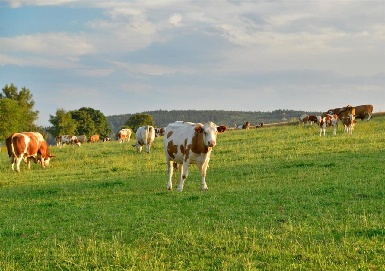 Ferienhof Kuerschner Drebach Екстер'єр фото