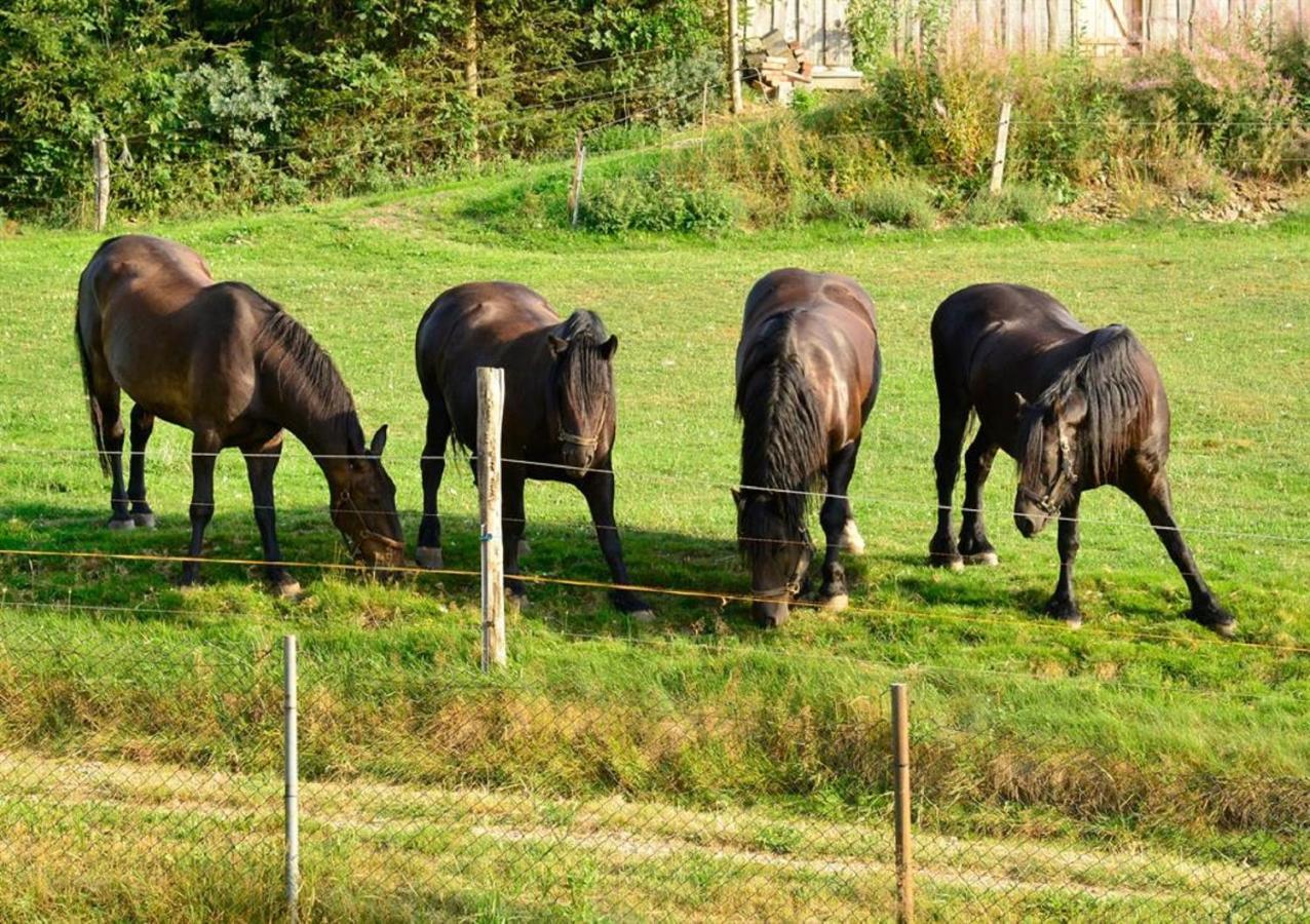 Ferienhof Kuerschner Drebach Екстер'єр фото