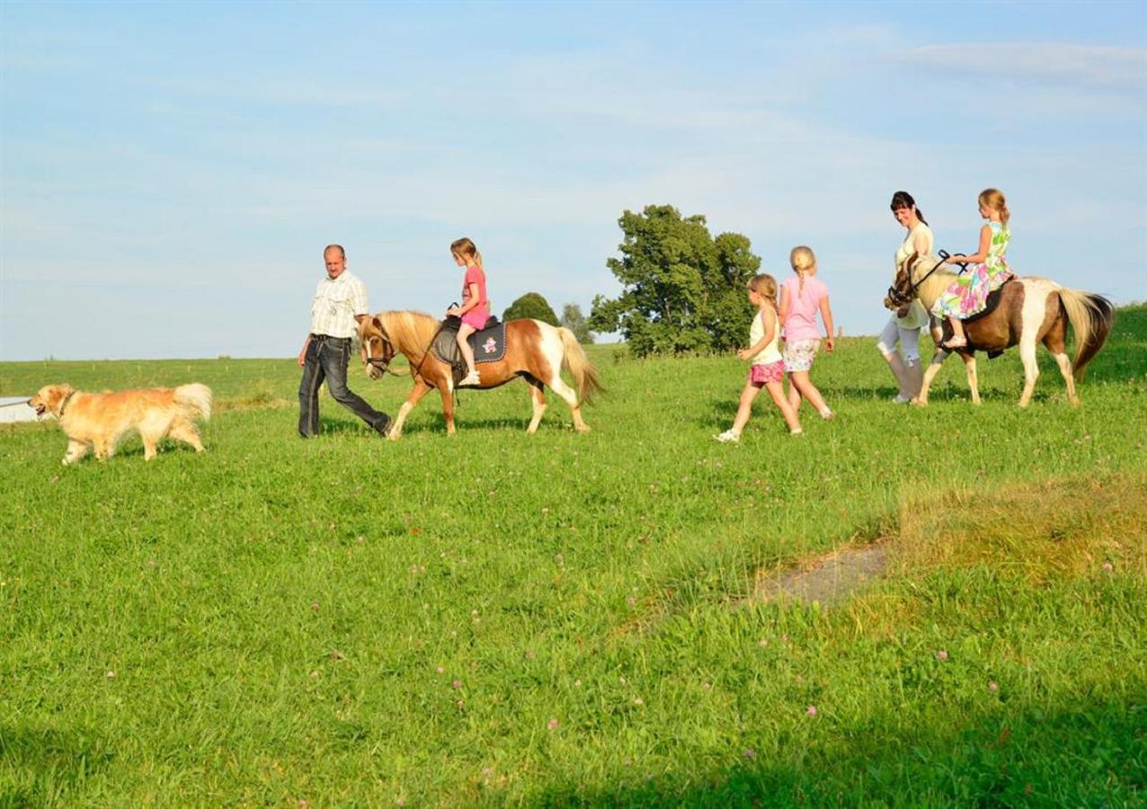 Ferienhof Kuerschner Drebach Екстер'єр фото